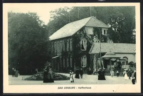 AK Bad Driburg, Kaffeehaus mit Anlagen