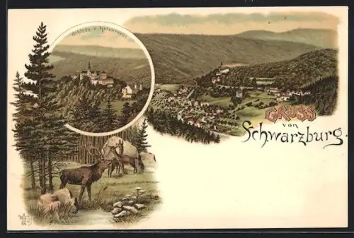 Lithographie Schwarzburg, Ortsansicht mit Schloss v. Helenensitz