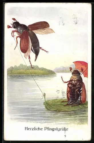 AK Maikäfer zieht Maikäferfrau auf einem Blatt, Pfingstgruss