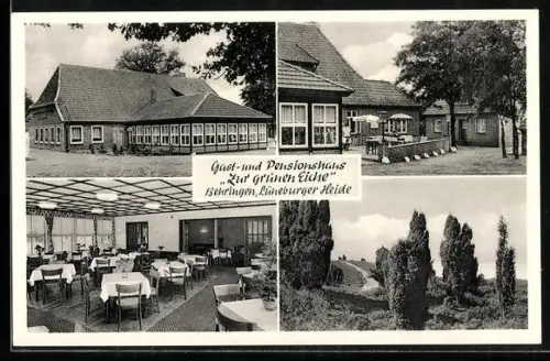 AK Behringen /Lüneburger Heide, Gasthaus und Pension Zur Grünen Eiche, Inh. H. Riekmann