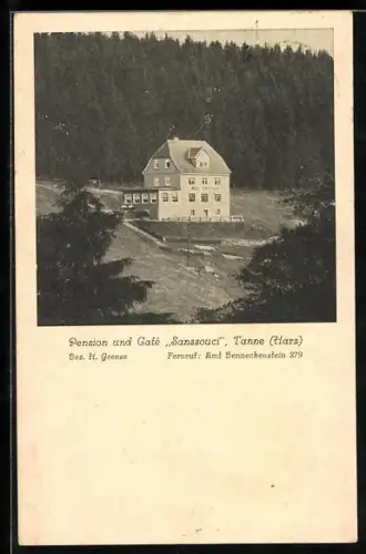 AK Tanne /Harz, Pension und Café Sanssouci, Bes. H. Greese