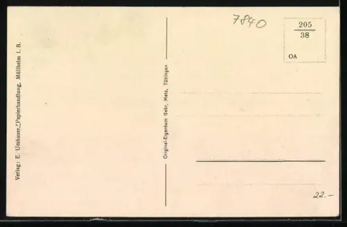 AK Müllheim i. B., Rathaus mit Wilhelmstrasse