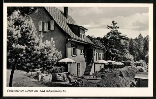 AK Bad Schwalbach /Ts., Gasthaus und Pension Schlehborner Heide