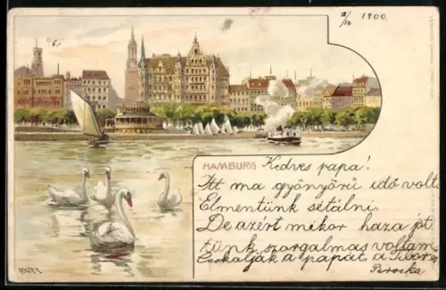 Lithographie Hamburg-Neustadt, Ortsansicht, Schwäne, Dampfer
