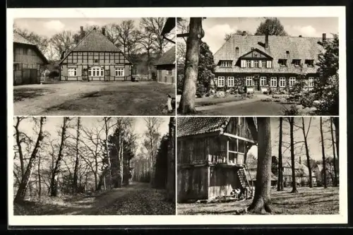 AK Fallingbostel /Untergrünhagen, Verschiedene Ortsansichten, Fachwerkhäuser, Waldweg, Bauernhof