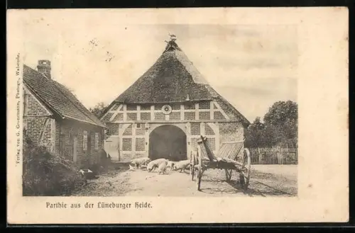 AK Walsrode / Lüneburger Heide, Bauernhof mit Schweinen