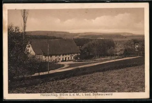 AK Holzschlag /bad. Schwarzwald, Gasthaus zur Krone, Besitzer Th. Jilgler, Landschaftsansicht