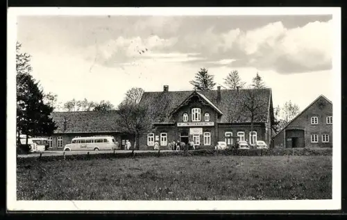 AK Westerstede, Gasthof Wittenheim, Ausflugslokal, Saal, Kleintierzoo