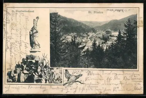 AK St. Blasien, St. Blasiusdenkmal, Stadtansicht