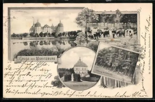 AK Moritzburg / Sachsen, Jagdschloss, Wildgehege, Fasanenschlösschen