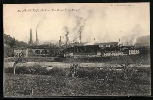 AK Alais-Tamaris, Vue générale des forges