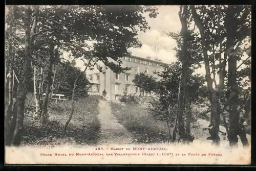 AK Vallérargue /Gard, Grand Hôtel du Mont-Aigoual et la forêt de frênes
