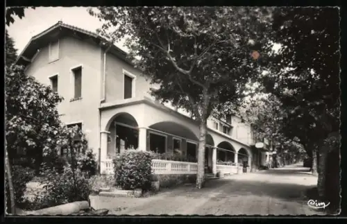 AK Génolhac /Gard, Hôtel du Mont Lozère et rue bordée d`arbres