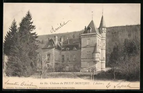 AK Autun, Château du Petit-Montjeu entouré de forêt