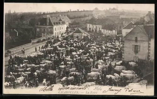 AK Charolles, La Foire avec foule et bétail sur la place du marché