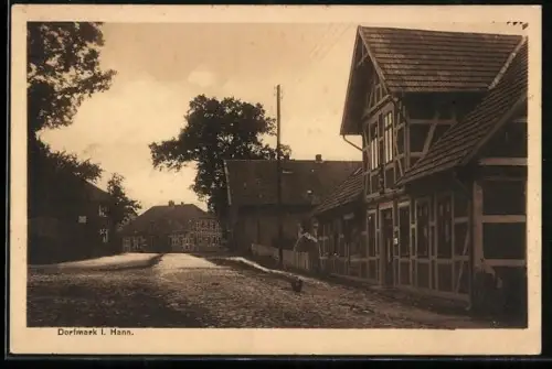 AK Dorfmark i. Hann., Fachwerkhäuser, Strassenpartie