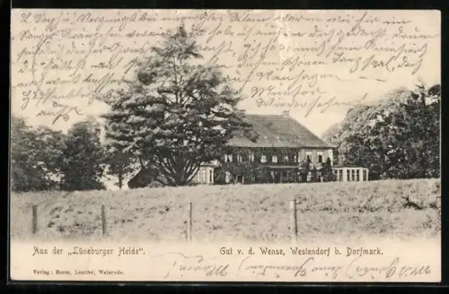 AK Westendorf b. Dorfmark, Gut von der Wense