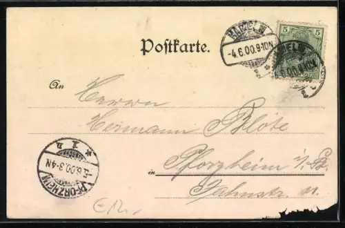 Lithographie Hameln, Ostertor, Rolanddenkmal, Osterstrasse, Rattenfänger