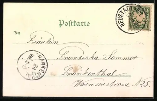 Lithographie Neustadt a. d. Haardt, Gymnasium, Marktplatz mit protest. Kirche, Hauptbahnhof, Noppert-Denkmal