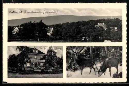 AK Winterbach /Soonwald, Hotel-Pension Kreershäuschen, Bes. Peter Spang, Ortsansicht, Hirsche im Wald