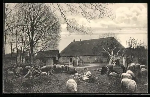 AK Fallingbostel-Dorfmark /Lüneb. Heide, Waldrestaurant zur Tausendjährigen Linde, Inh. Friedr. Käsehagen, Schafweide