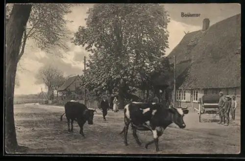 AK Bothmer, Strassenpartie mit Bauernhäusern und Kühen