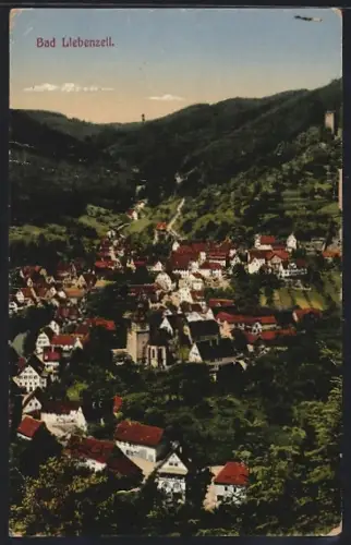 AK Bad Liebenzell, Gesamtansicht der Stadt im Tal