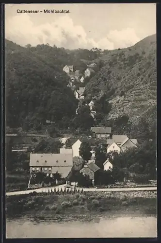 AK Cattenes, Uferpartie im Mühlbachtal