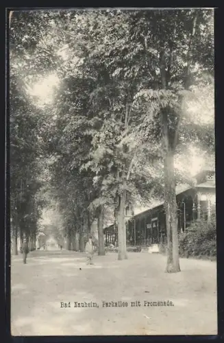AK Bad Nauheim, Parkallee mit Promenade