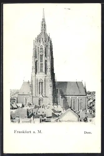 AK Alt-Frankfurt, Dom