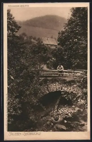 AK Freiburg i. Br., Schwarzwaldidylle mit Steinbrücke und Bach
