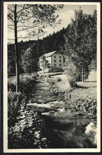 AK Steinabad, Kindererholungsheim, Bach Steina