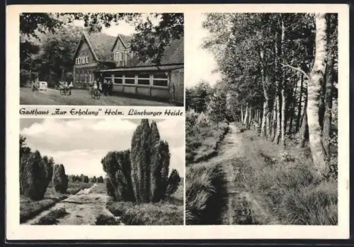 AK Holm /Lüneburger Heide, Gasthaus Zur Erholung, Bes. Rud. Lohmann, Heidelandschaft, Waldweg