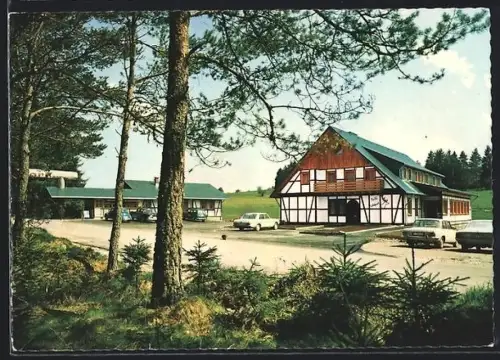 AK Löffingen /Schwarzwald, Wildfreigehege, Hotel-Café Wildpark