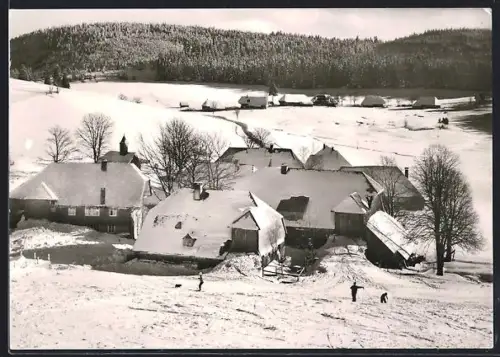 AK Herrenschwand /Schwarzwald, Gasthaus und Pension Waldfrieden, Inh. Matthäus Flum, Winterlandschaft