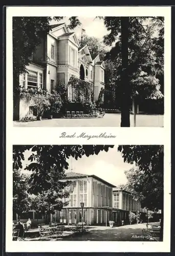 AK Bad Mergentheim, Kurhaus, Albertquelle