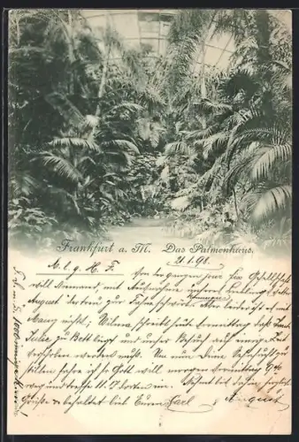 AK Frankfurt-Westend, Das Palmenhaus