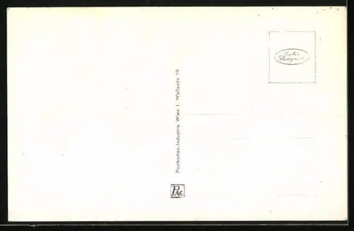 AK Wien, Höhenstrasse, Leopoldsberg