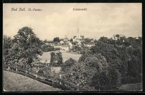 AK Bad Hall /Ob. Öst., Totalansicht