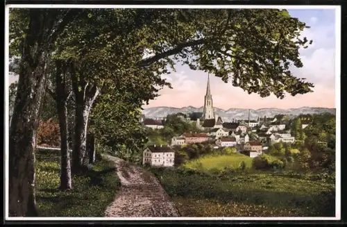 AK Bad Hall /O. Ö., Panorama mit Kirche