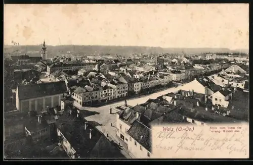 AK Wels /O.-Oe., Blick vom Turm der evangelischen Kirche