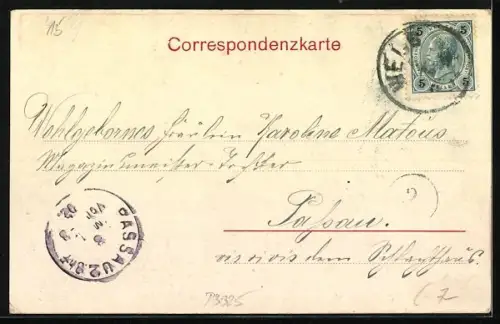 AK Wels, Stadtpanorama mit Brücke