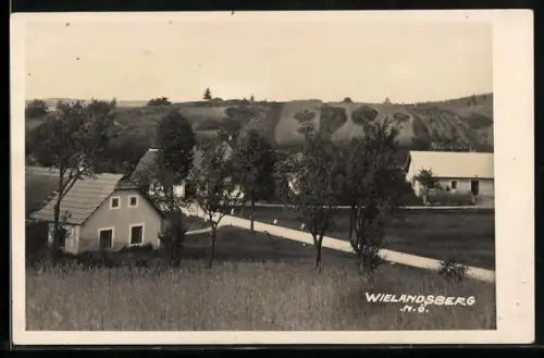 AK Heidenreichstein /N.Ö., Wielandsberg mit Strasse und Feldern