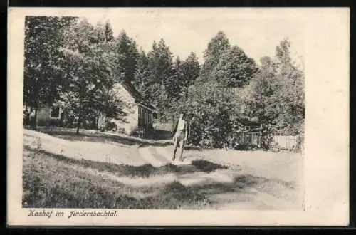 AK Hohenberg /N.-Oe., Andersbachtal, Kashof am Waldrand