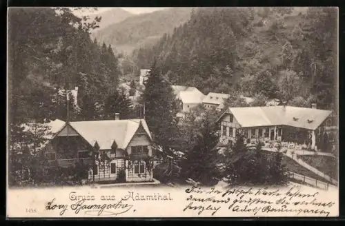 AK Ramsau bei Hainfeld, Adamthal, Talansicht mit Gasthaus