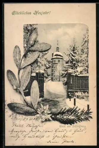 AK Graz, Liesl am Schlossberg im Winter, Edelweiss-Passepartout