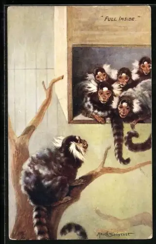 Künstler-AK sign. Maude Scrivener: Weissbüscheläffchen in ihrem Gehege