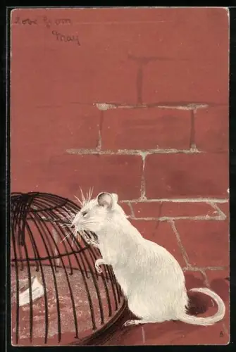 AK Maus an einem Käfig