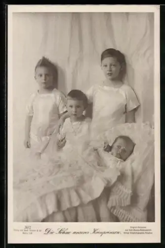 AK Die Söhne unsere Kronprinzen