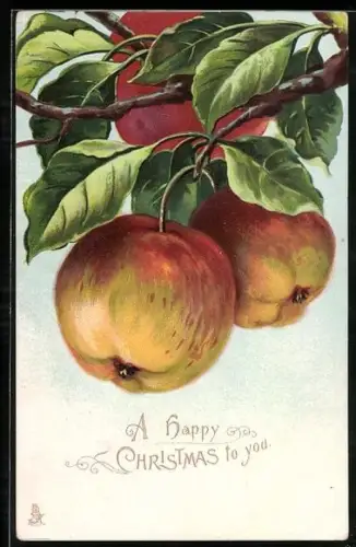 AK Äpfel hängen an einem Ast
